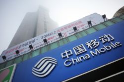 【5分钟教程】泉州公司咨询电话号码_哔哩哔哩-3